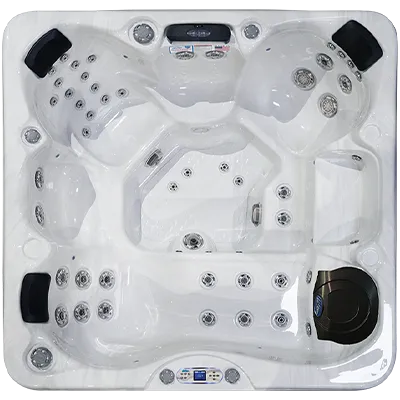 Avalon EC-849L hot tubs for sale in San Leandro